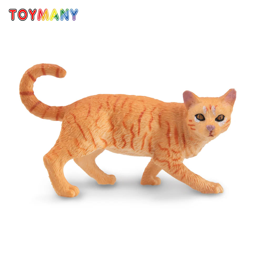 Toymany 시뮬레이션 Striding Orange  - Kids First Education 리뷰 및 가격